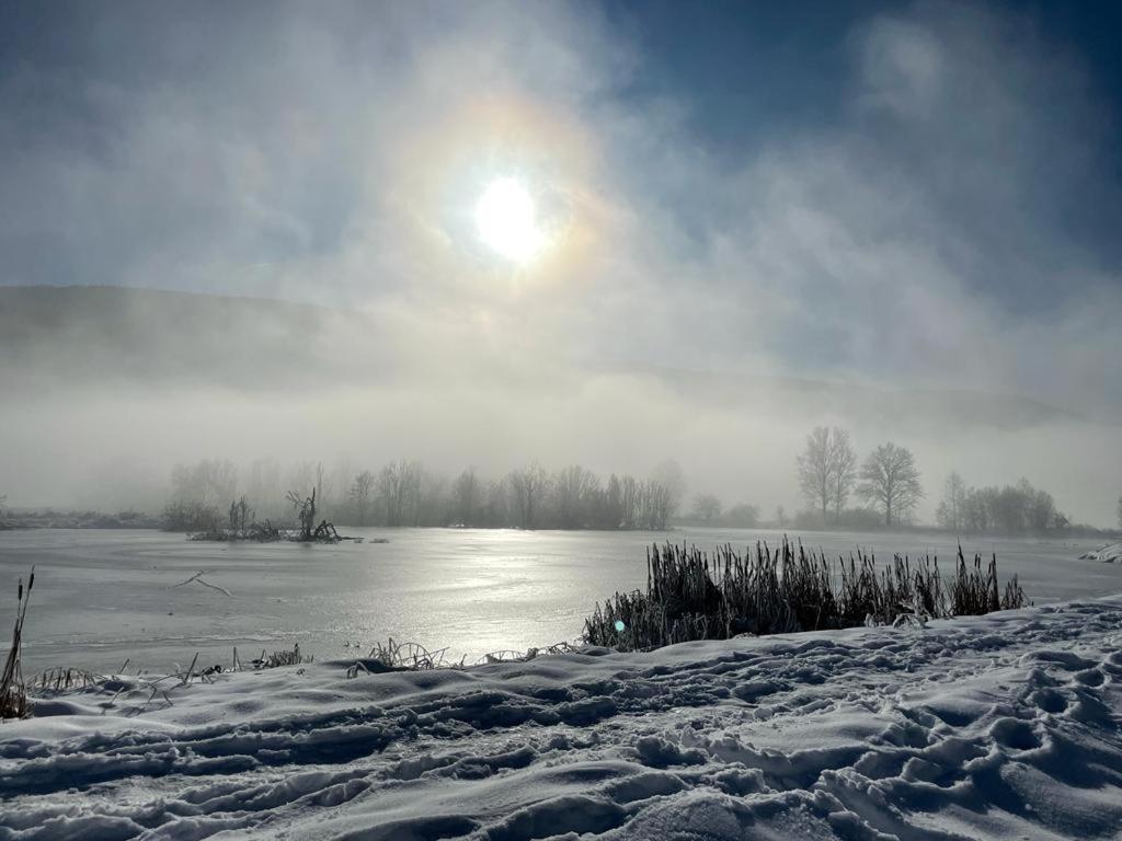 Ferienhaus Natura 2000 Steindorf am Ossiacher See Eksteriør bilde