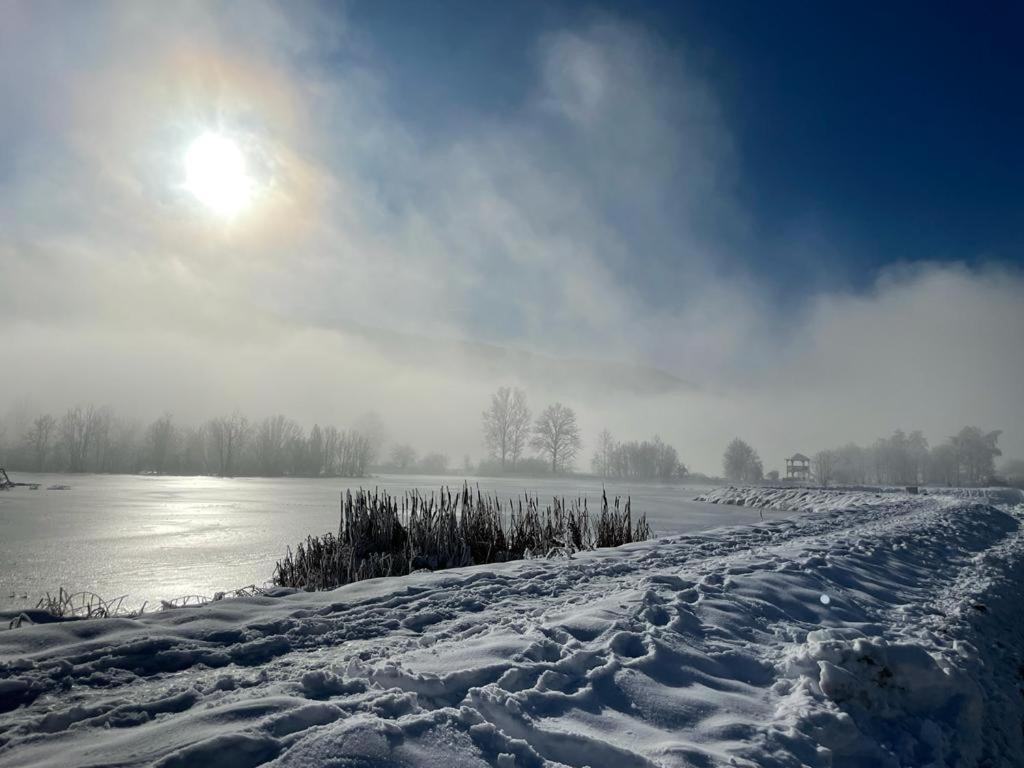 Ferienhaus Natura 2000 Steindorf am Ossiacher See Eksteriør bilde